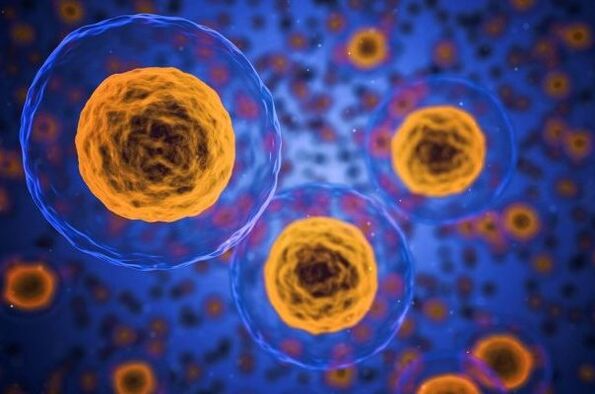 Wéi geschitt de Gewiichtsverloschtprozess