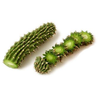 hoodia gordonia - Zesummesetzung Reduslim